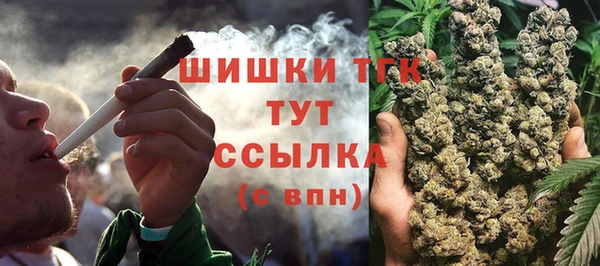 твердый Михайловск