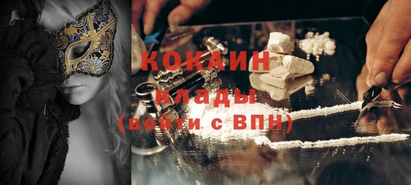 твердый Михайловск