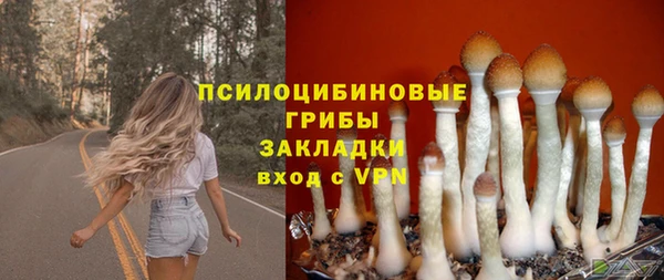 экстази Михайлов