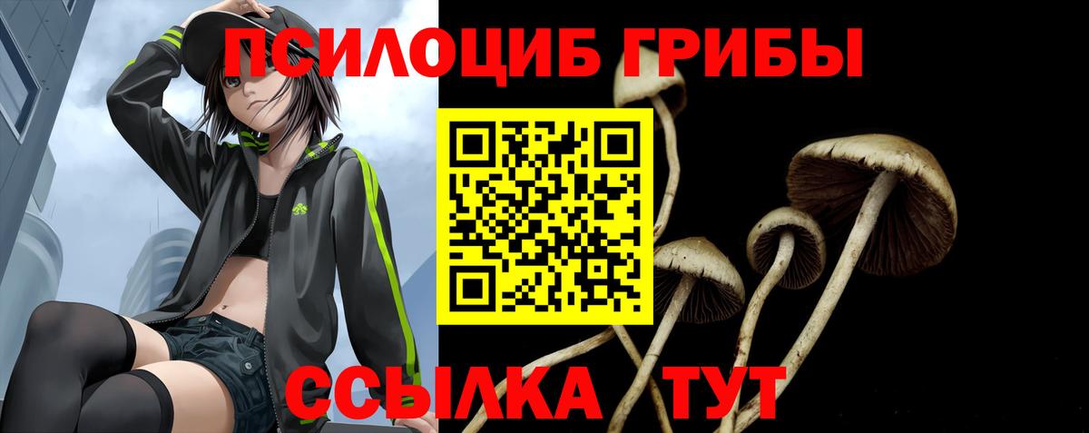 Галлюциногенные грибы GOLDEN TEACHER  Псилоцибиновые грибы GOLDEN TEACHER  Вход с VPN  цены   Приморско-Ахтарск 